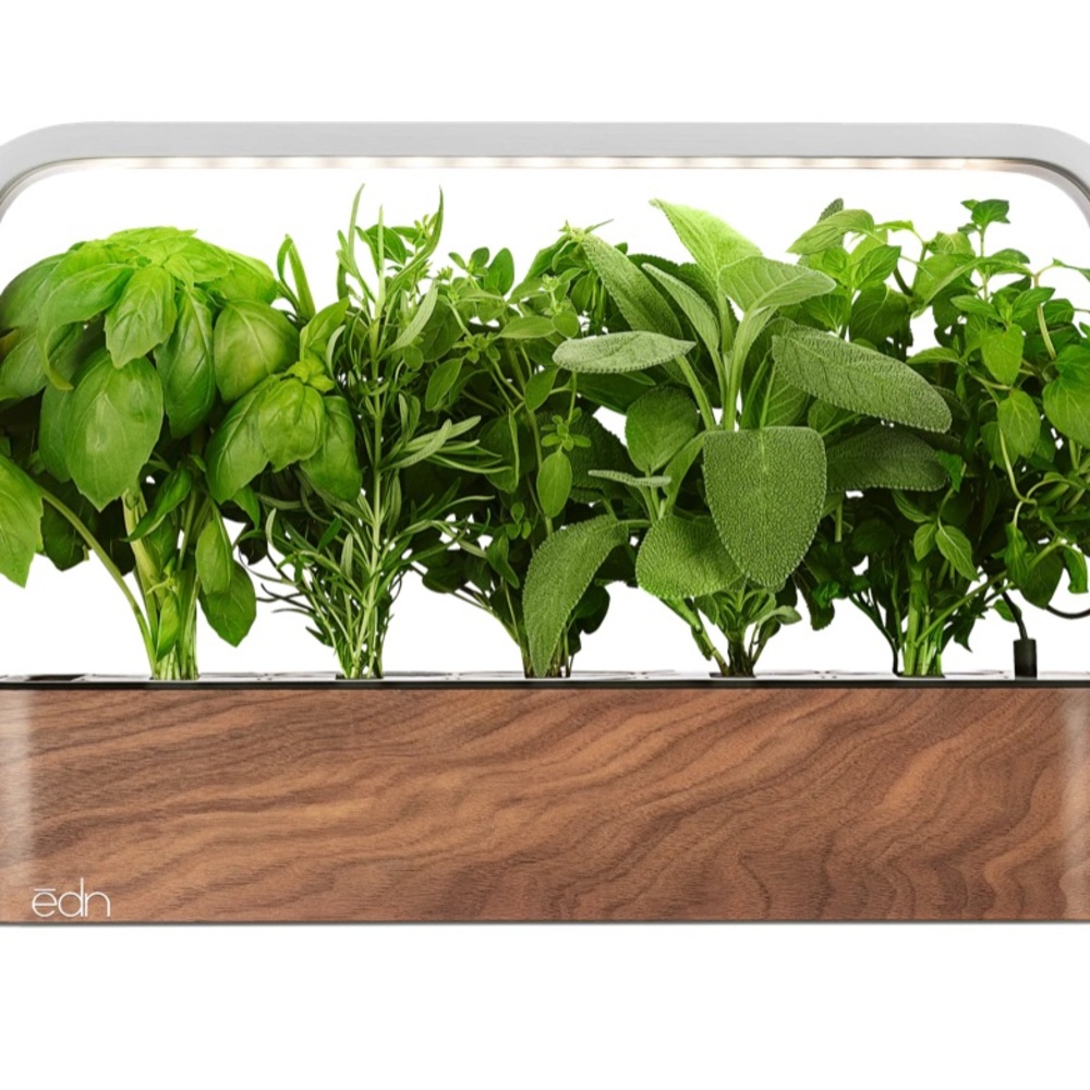 Edn Indoor Garden Kit with LED Lights